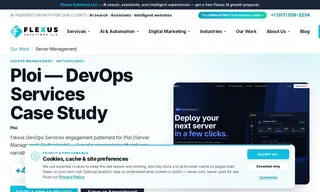 Preview of the Ploi Case Study