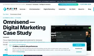 Preview of the Omnisend Case Study