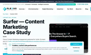 Preview of the Surfer Case Study