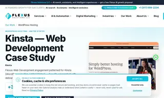Preview of the Kinsta Case Study
