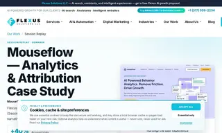 Preview of the Mouseflow Case Study