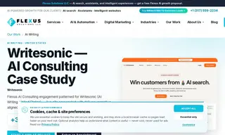 Preview of the Writesonic Case Study