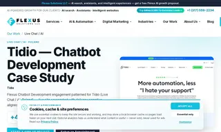 Preview of the Tidio Case Study