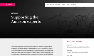 Preview of the Netrush Case Study