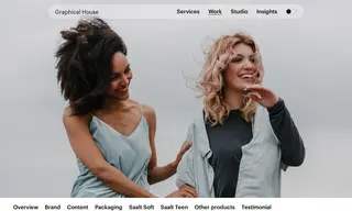 Preview of the Saalt Case Study