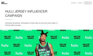 Preview of the Hulu Case Study