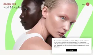 Preview of the Morphe Case Study