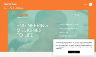 Preview of the Capsugel Case Study