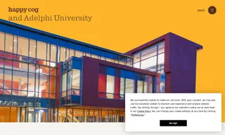 Preview of the Adelphi University Case Study