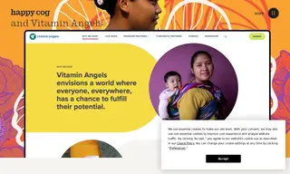 Preview of the Vitamin Angels Case Study