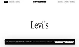 Preview of the Levi Strauss & Co Case Study