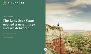 Preview of the Texas Case Study