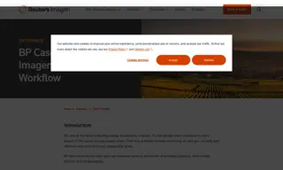 Preview of the BP Case Study