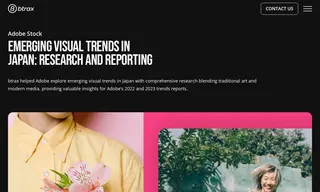 Preview of the Adobe Case Study