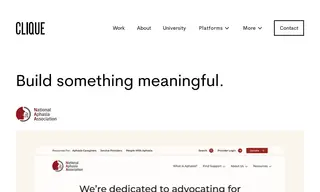 Preview of the National Aphasia Association Case Study