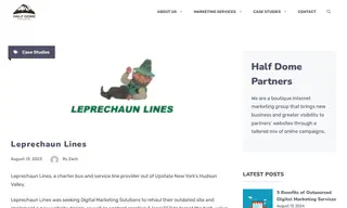 Preview of the Leprechaun Lines Case Study