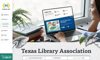 Preview of the Texas Library Association Case Study