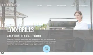 Preview of the Lynx Grills Case Study