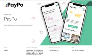 Preview of the PayPo Case Study