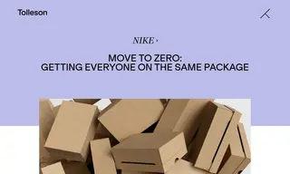 Preview of the Nike Case Study