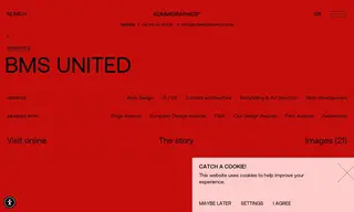 Preview of the BMS United Case Study