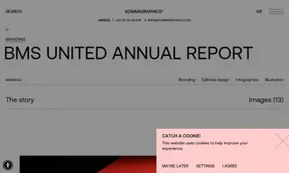 Preview of the BMS United Case Study