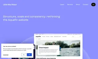 Preview of the Aquafin Case Study