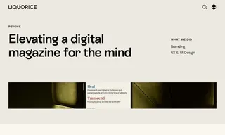 Preview of the Psyche Case Study