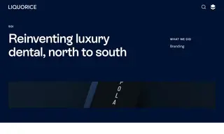 Preview of the SDI Limited Case Study