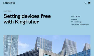 Preview of the Kingfisher Case Study