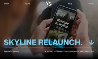 Preview of the Skyline Case Study