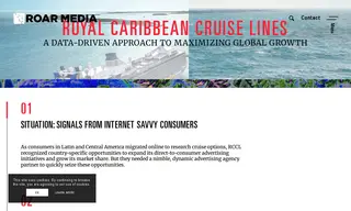 Preview of the Royal Caribbean Cruise Lines Case Study