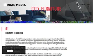 Preview of the City Furniture Case Study