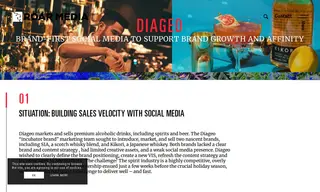 Preview of the Diageo Case Study