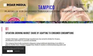 Preview of the Tampico Beverages Case Study