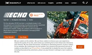 Preview of the Echo Case Study