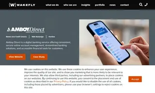 Preview of the Amboy Direct Case Study