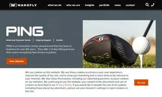 Preview of the Ping Case Study