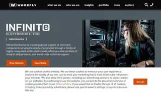 Preview of the Infinite Electronics, Inc Case Study