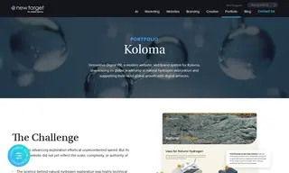 Preview of the Koloma Case Study