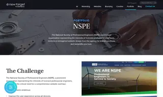 Preview of the The National Society of Professional Engineers (nspe) Case Study