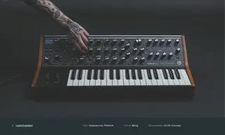Preview of the Moog Music Case Study