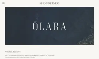 Preview of the Olara Case Study
