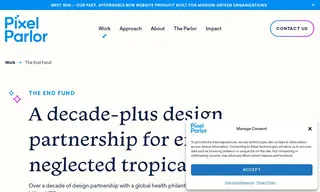 Preview of the The END Fund Case Study