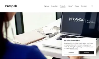 Preview of the Necando Case Study