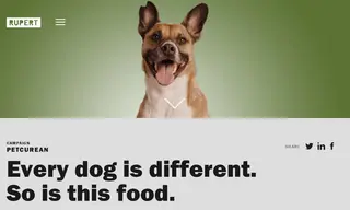 Preview of the Petcurean Case Study