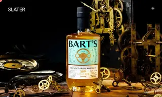 Preview of the Lough Ree Distillery Case Study
