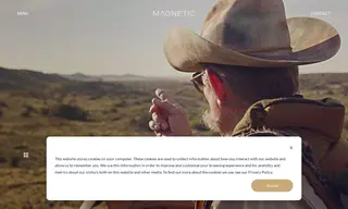 Preview of the Avula Safaris Case Study