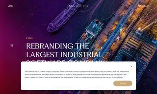 Preview of the AVEVA Case Study