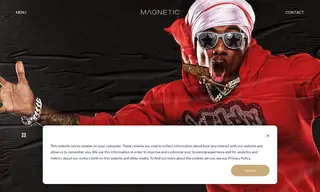 Preview of the MTV Case Study